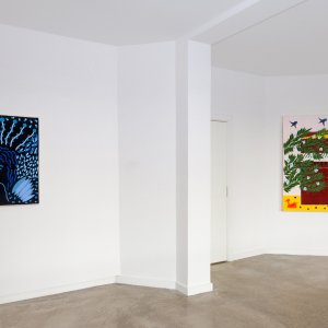 Installation view