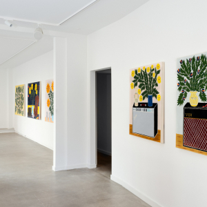 Installation view